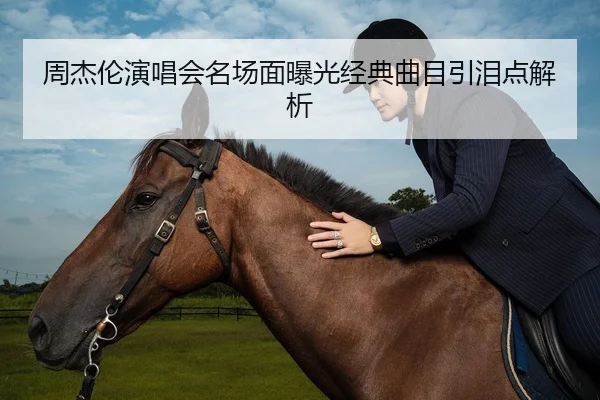 周杰伦演唱会名场面曝光经典曲目引泪点解析