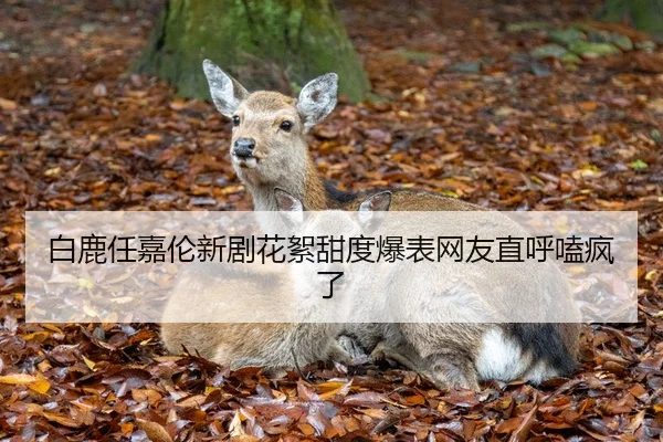白鹿任嘉伦新剧花絮甜度爆表网友直呼嗑疯了