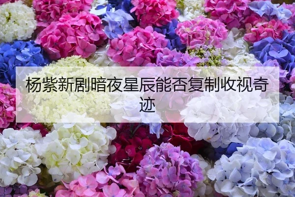 杨紫新剧暗夜星辰能否复制收视奇迹